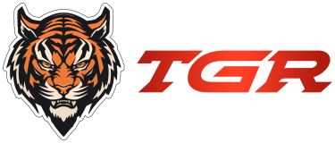 TIGER 演示站